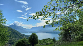 Lake in Nature